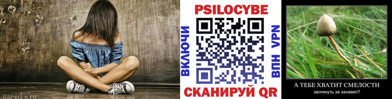 Псилоцибиновые грибы мицелий  купить наркотик  ссылка на мегу   Бугульма 